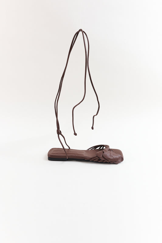 Lirio plana, chocolate