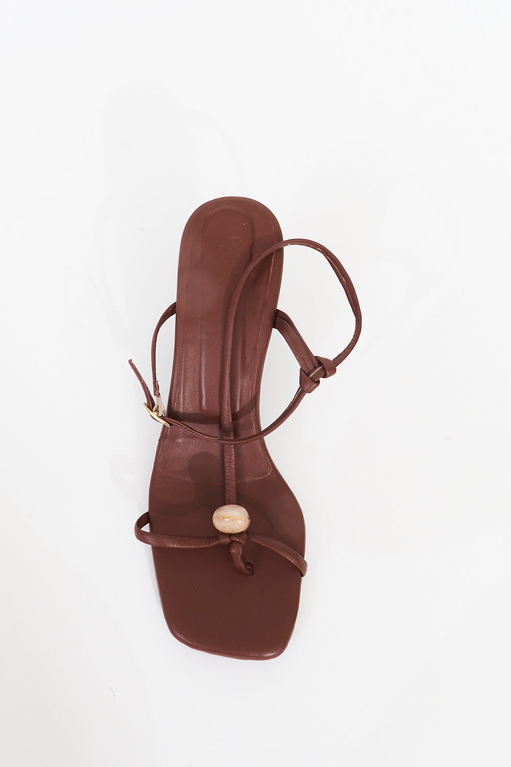 Semilla. chocolate