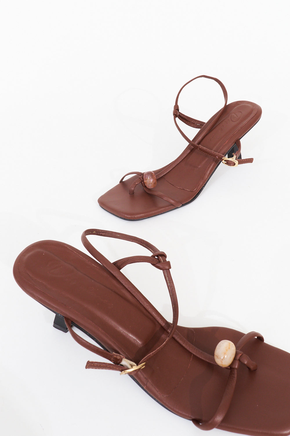 Semilla. chocolate