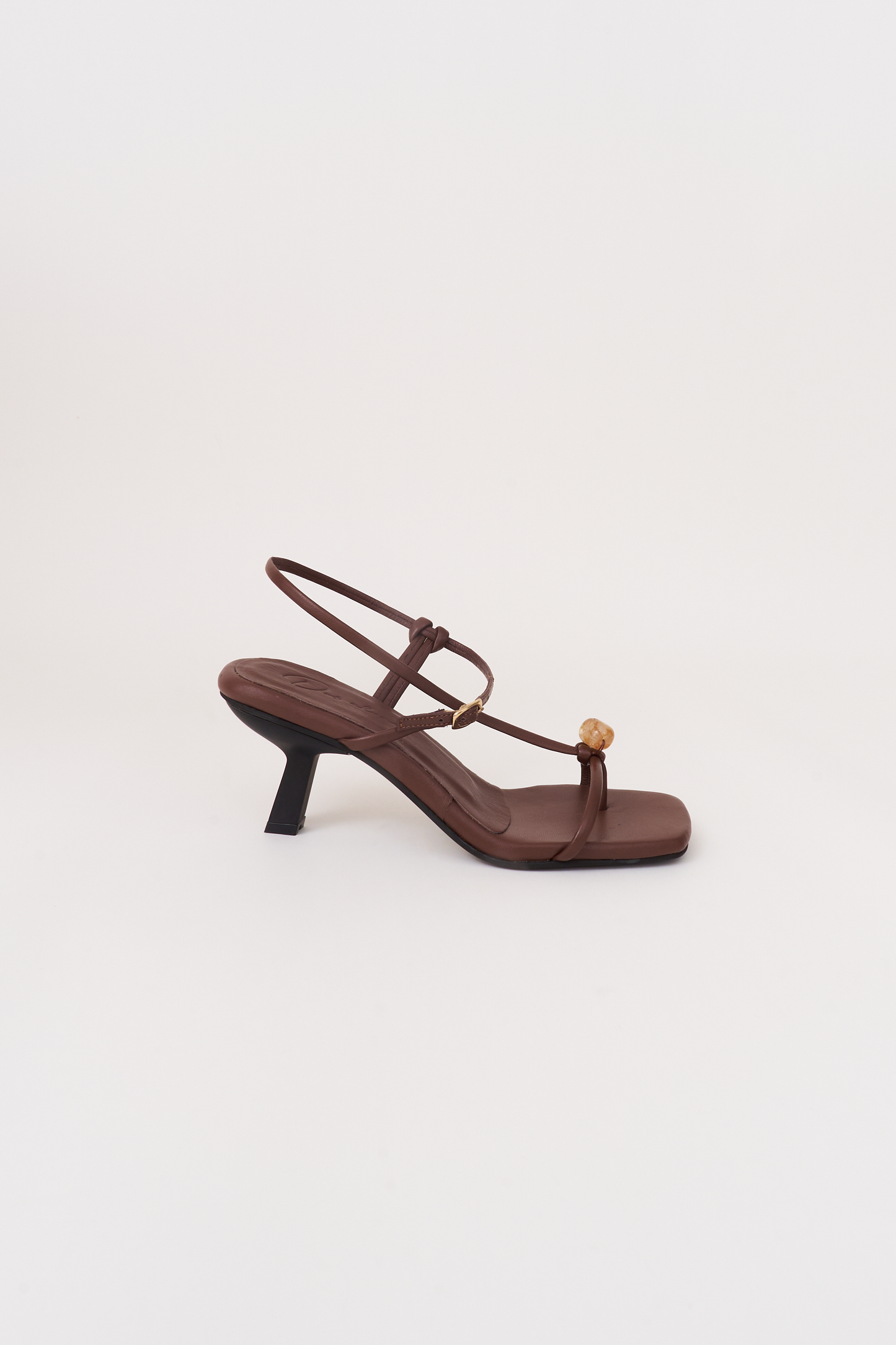 Semilla. chocolate