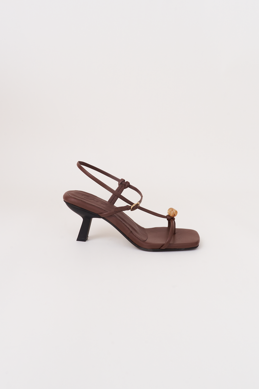 Semilla. chocolate
