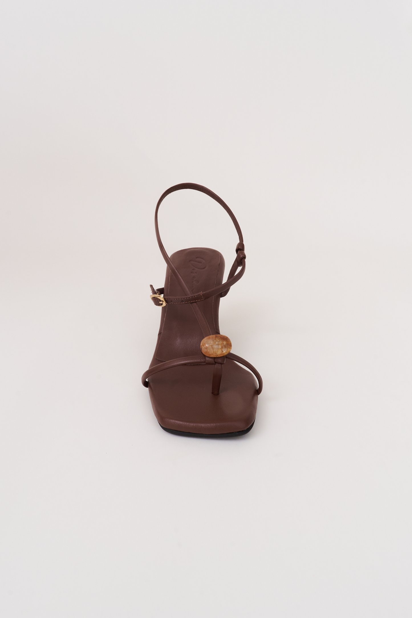 Semilla. chocolate