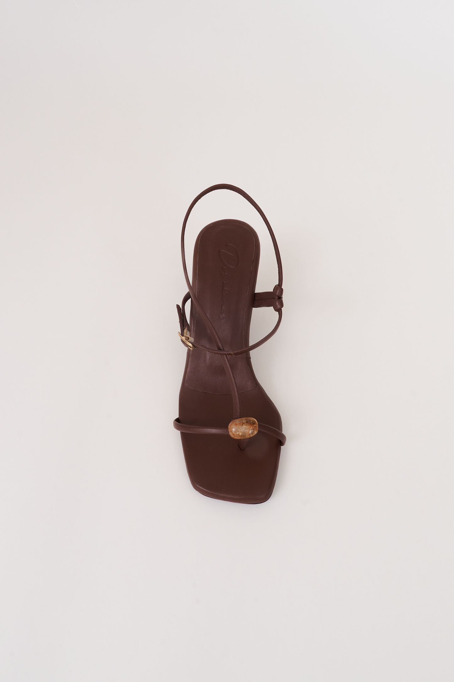 Semilla. chocolate