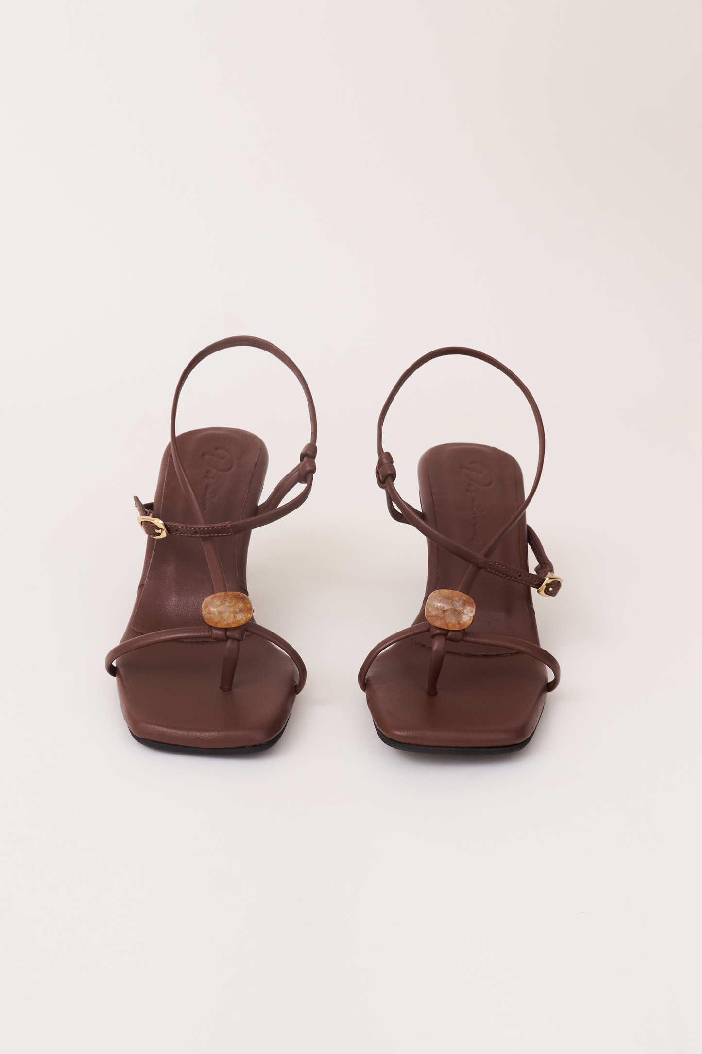 Semilla. chocolate