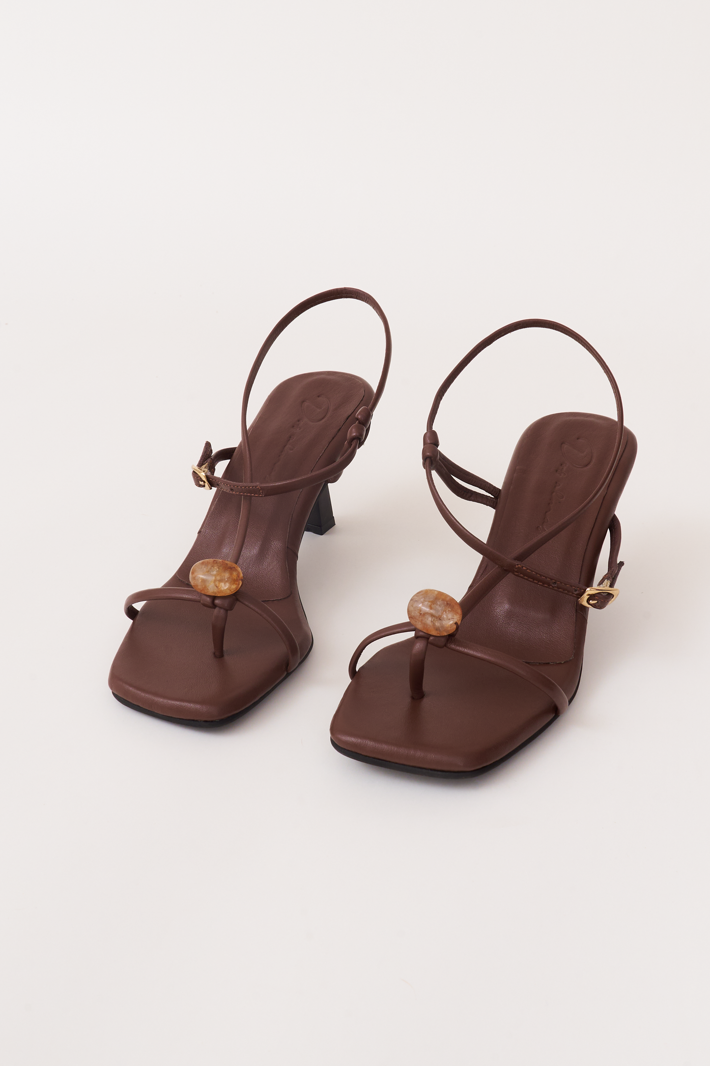 Semilla. chocolate