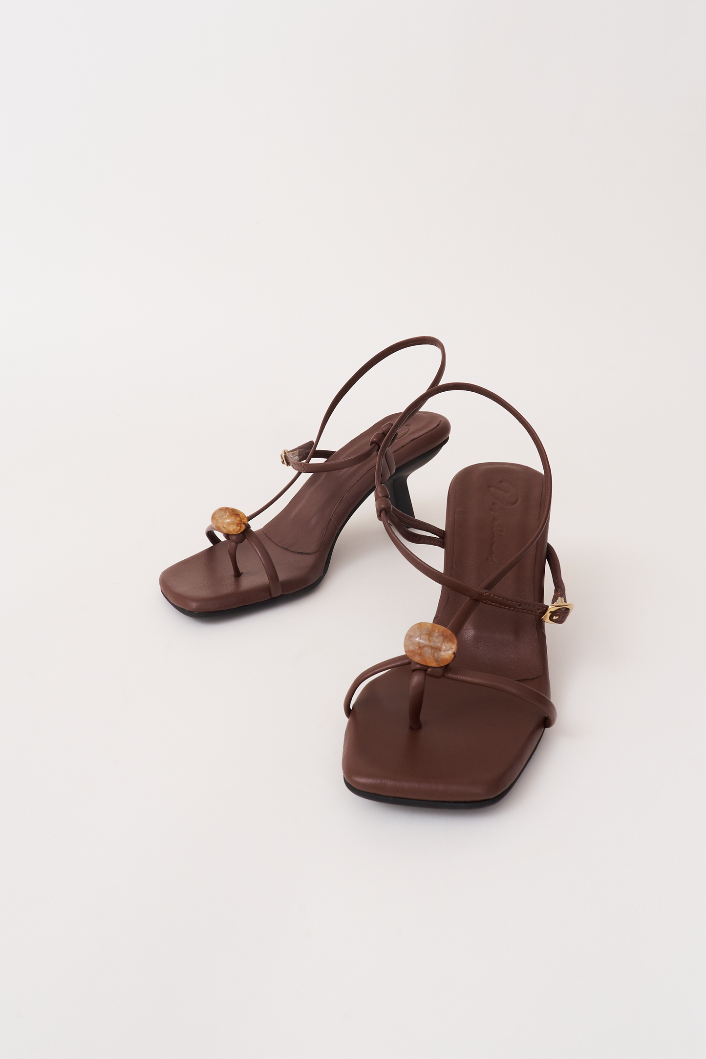 Semilla. chocolate