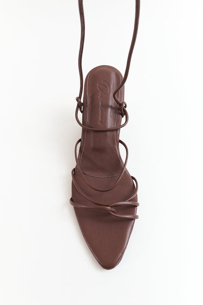 Agave, chocolate