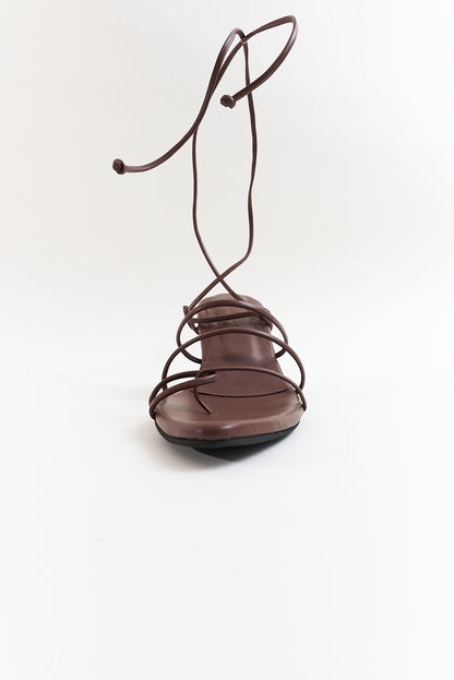 Agave, chocolate
