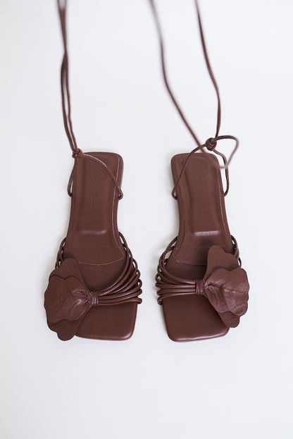 Lirio plana, chocolate