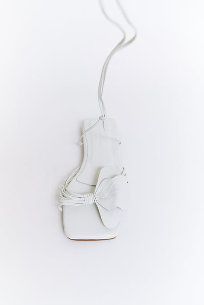 Lirio plana, crema