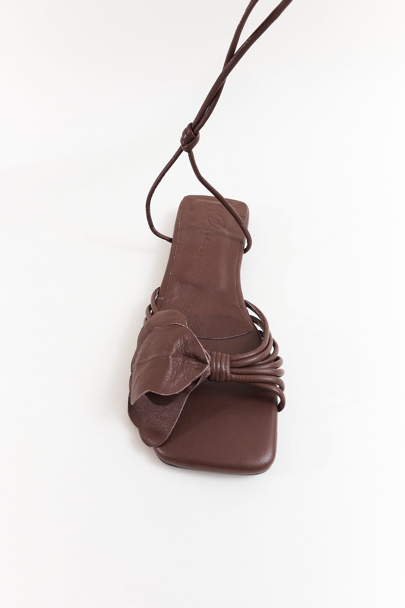 Lirio plana, chocolate