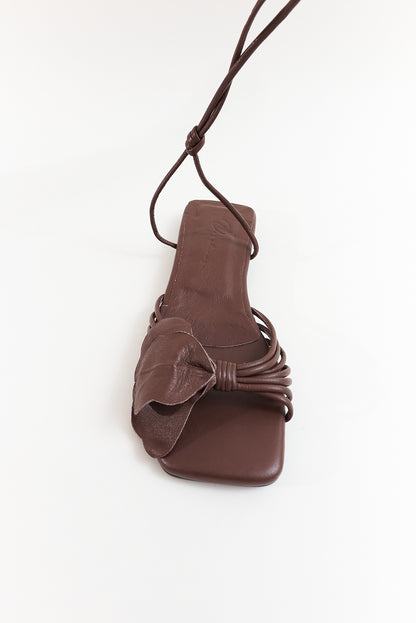 Lirio plana, chocolate
