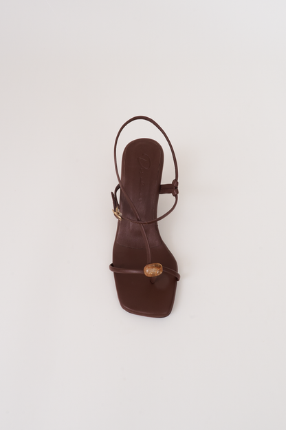 Semilla. chocolate