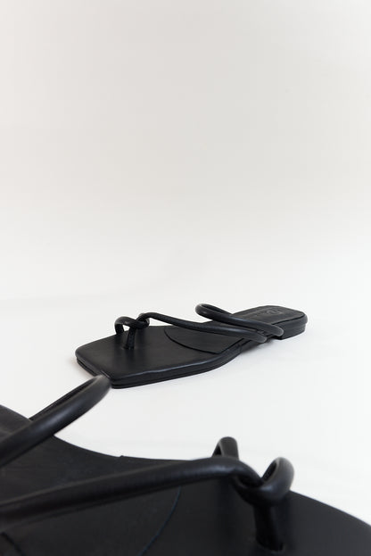 Camelia, negro
