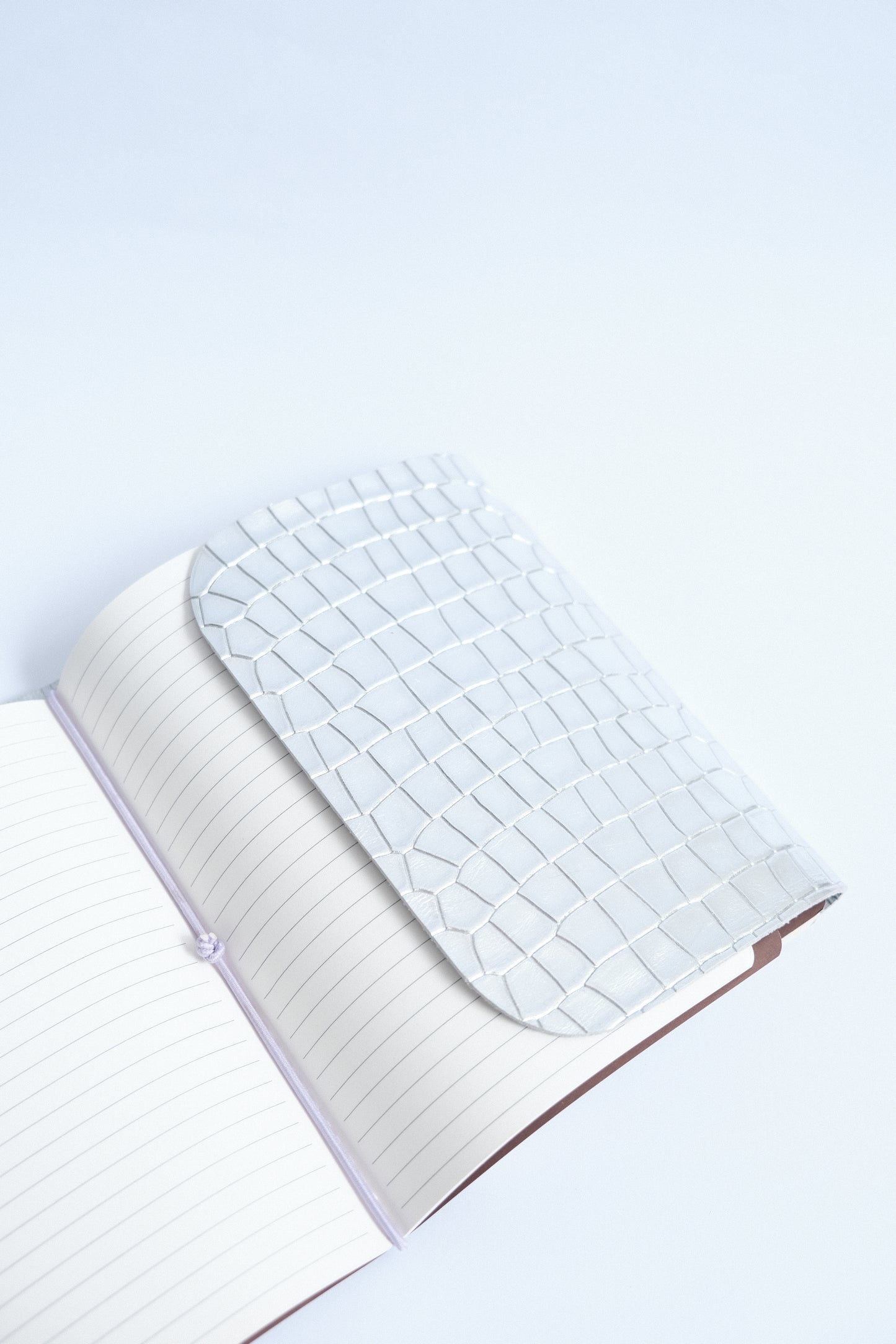 Journal, plata