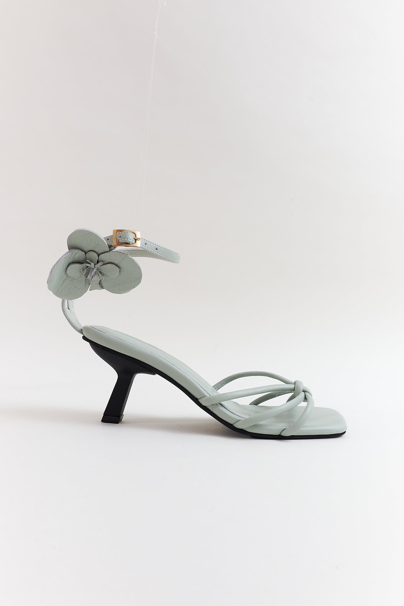 Orquídea, gris niebla