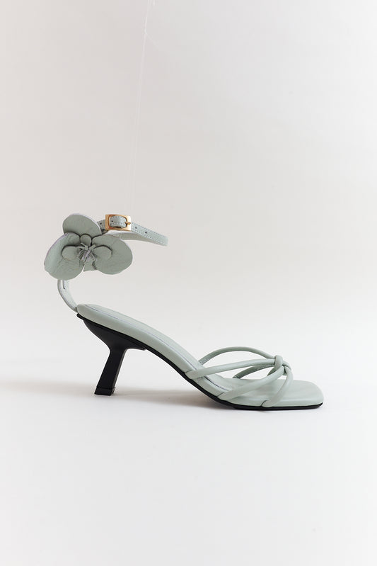 Orquídea, gris niebla