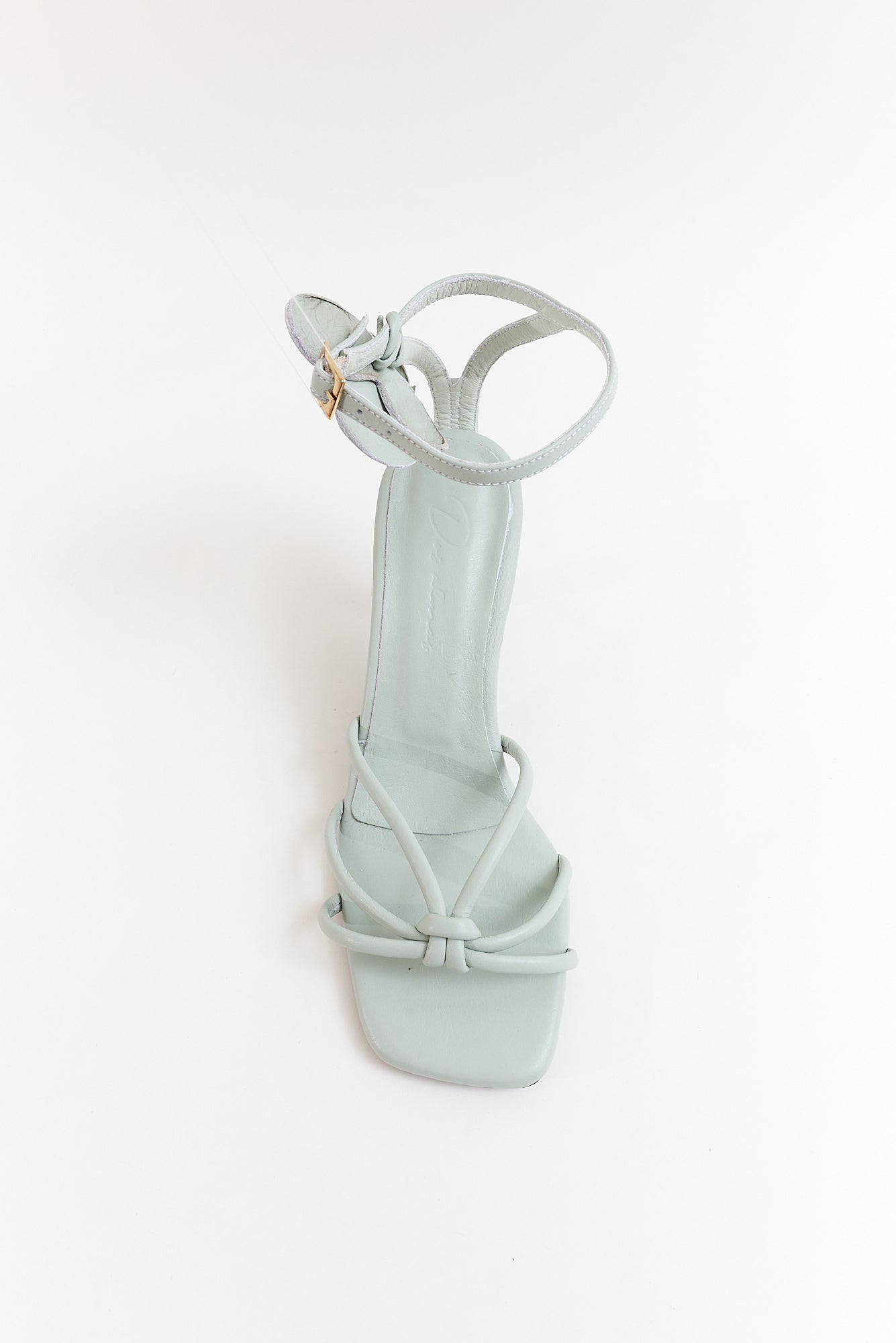 Orquídea, gris niebla