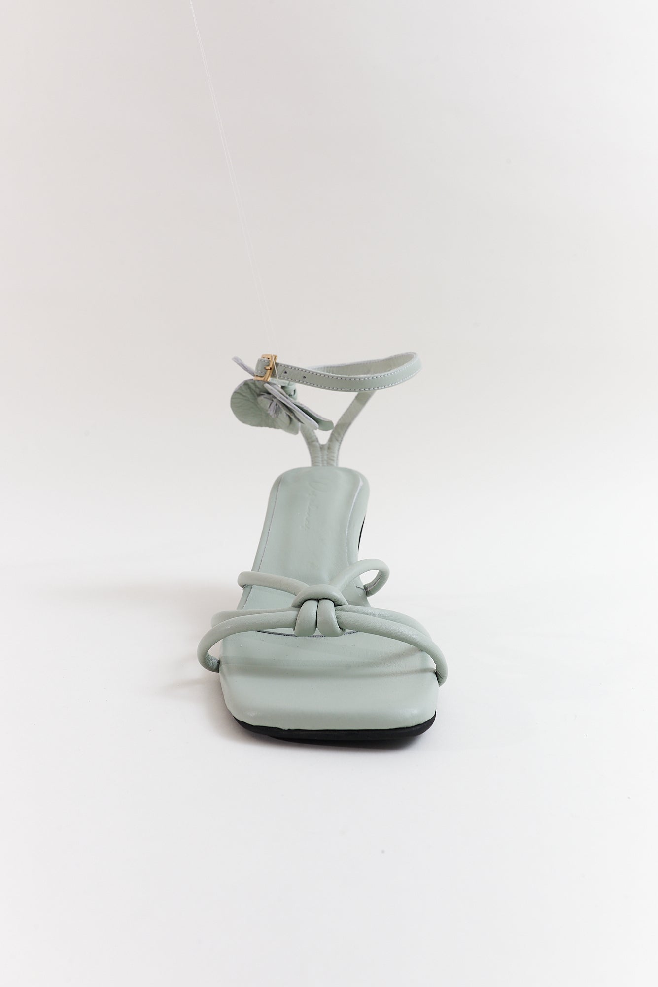 Orquídea, gris niebla