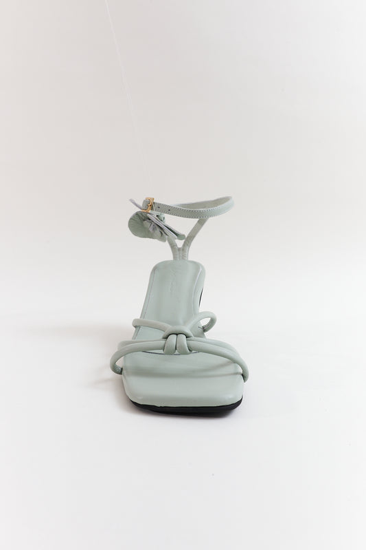 Orquídea, gris niebla