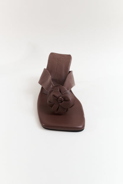 Rosa, chocolate